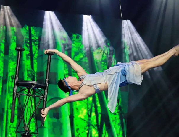 Chaoyang Theatre acrobatics show featuring Chinese performers on stage in Beijing